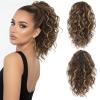 Chestnut Brown with Blonde Highlights