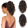 Dark Brown with Honey Blonde Highlights