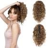 Light Brown with Blonde Highlights