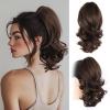 Chocolate Brown