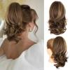 Chestnut Brown With Golden Highlights