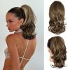 Ash Brown with Beige Blonde Highlights