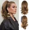 Light Brown With Blonde Highlights