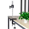 Wig Stand C-Clamp