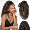 Dark Brown with Honey Blonde Highlights