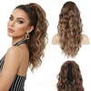 Light Brown with Blonde Ends