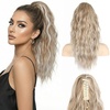 Ash Blonde with White Highlights