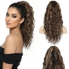 Medium Brown with Blonde Highlights