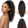 Dark Brown with Honey Blonde Highlights